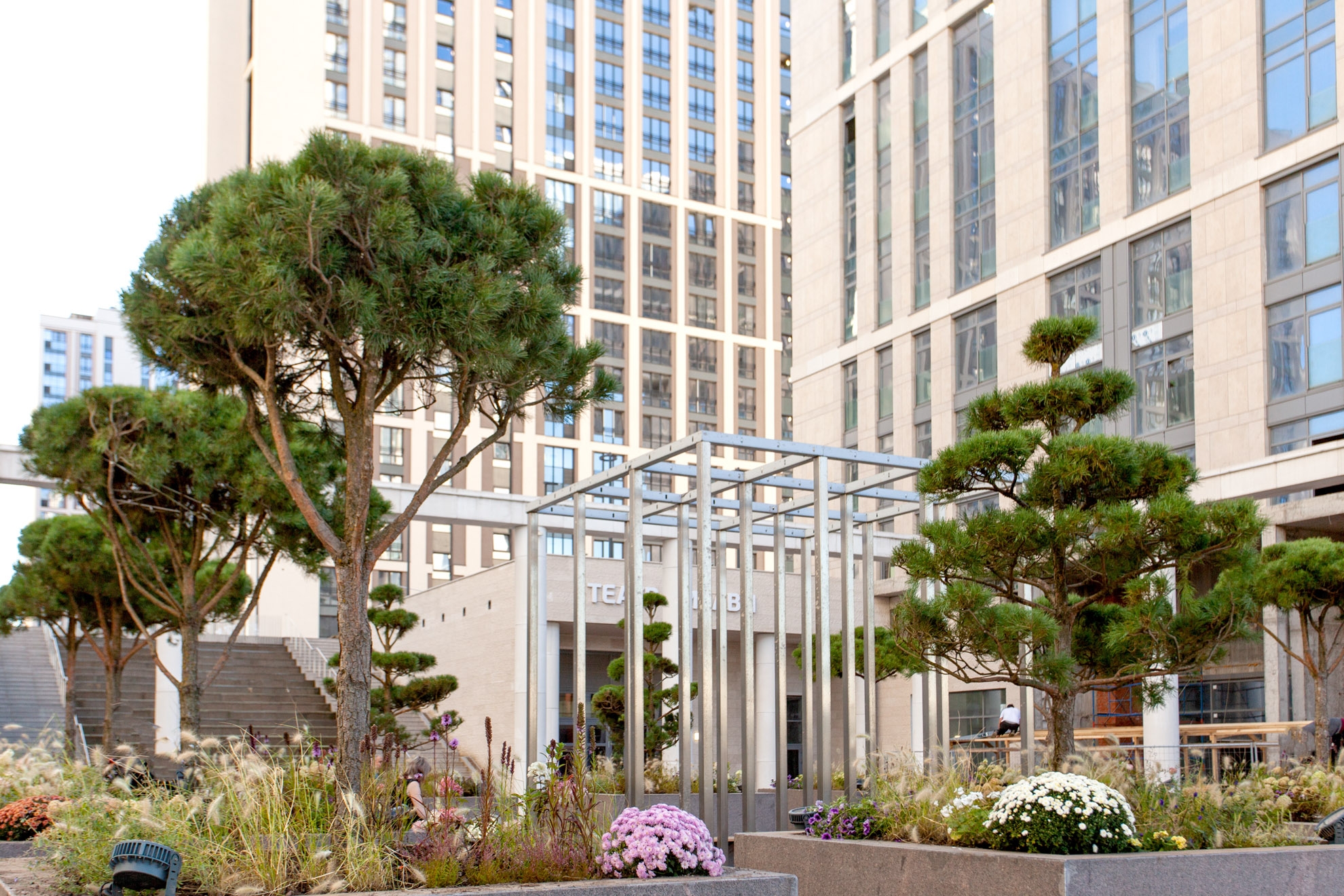 В ЖК «Дефанс» высадили сосны в японском стиле ниваки